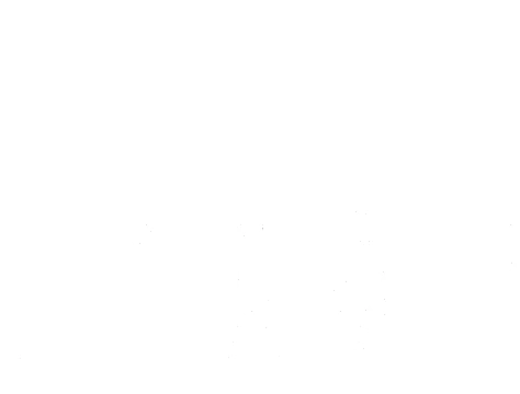 RuleZero logo bottom